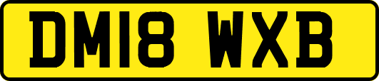 DM18WXB