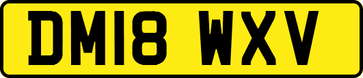 DM18WXV