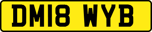 DM18WYB