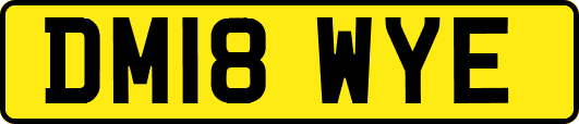 DM18WYE