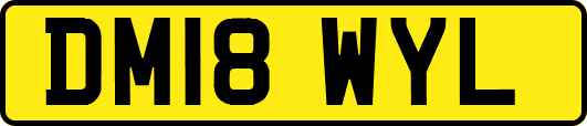 DM18WYL