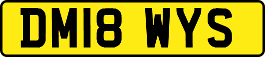 DM18WYS