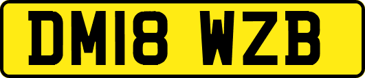 DM18WZB