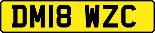 DM18WZC