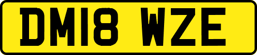 DM18WZE