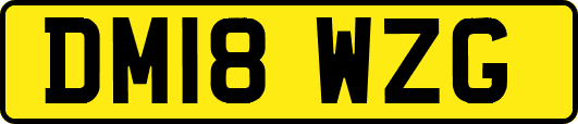 DM18WZG