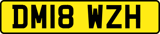 DM18WZH