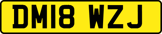 DM18WZJ