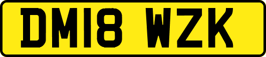 DM18WZK