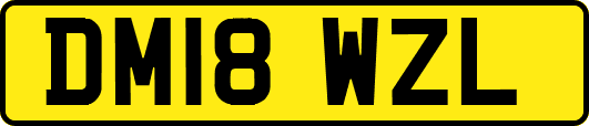 DM18WZL