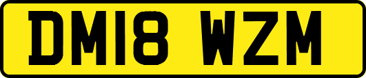 DM18WZM