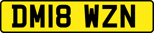 DM18WZN