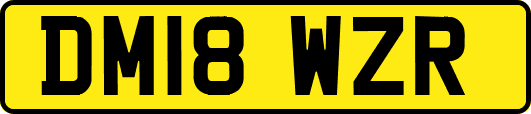 DM18WZR