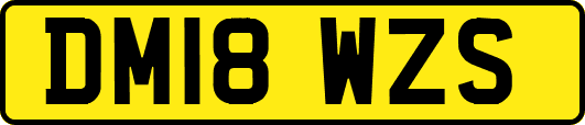 DM18WZS