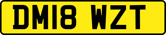 DM18WZT