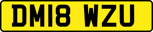 DM18WZU