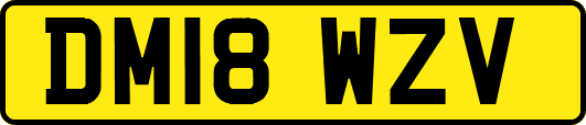 DM18WZV