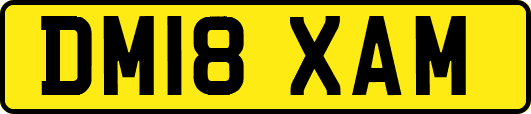 DM18XAM
