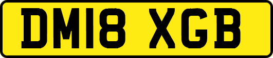 DM18XGB