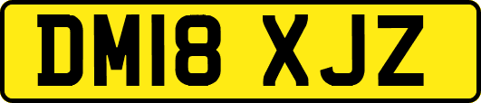 DM18XJZ