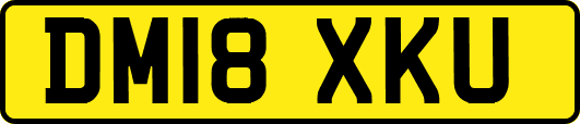 DM18XKU