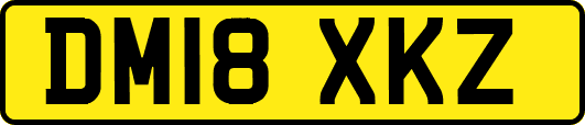 DM18XKZ