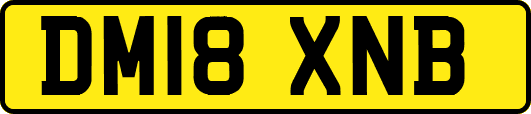 DM18XNB