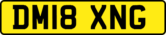 DM18XNG