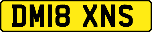 DM18XNS