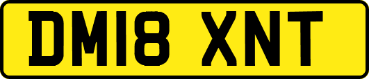 DM18XNT