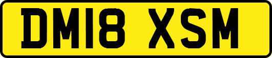 DM18XSM