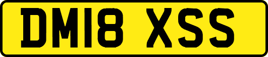 DM18XSS