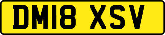 DM18XSV