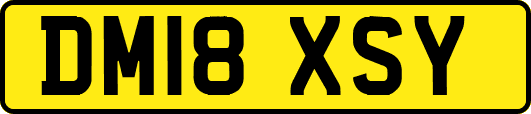 DM18XSY