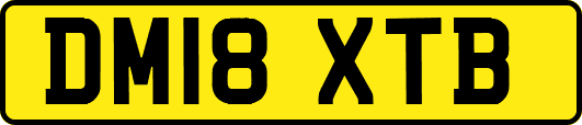 DM18XTB