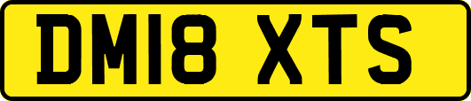 DM18XTS