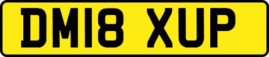 DM18XUP