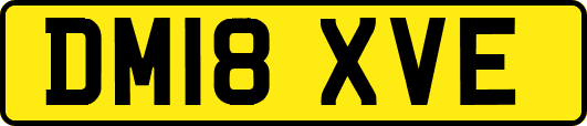 DM18XVE