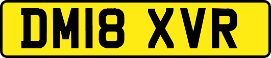 DM18XVR