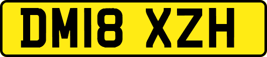DM18XZH