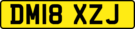 DM18XZJ
