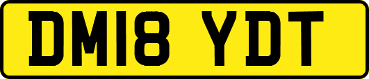 DM18YDT