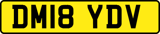 DM18YDV