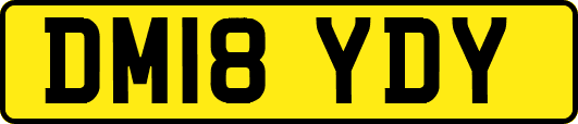 DM18YDY