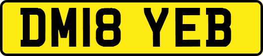 DM18YEB