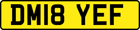 DM18YEF