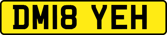 DM18YEH