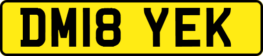 DM18YEK