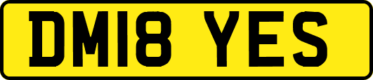 DM18YES