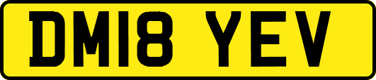 DM18YEV